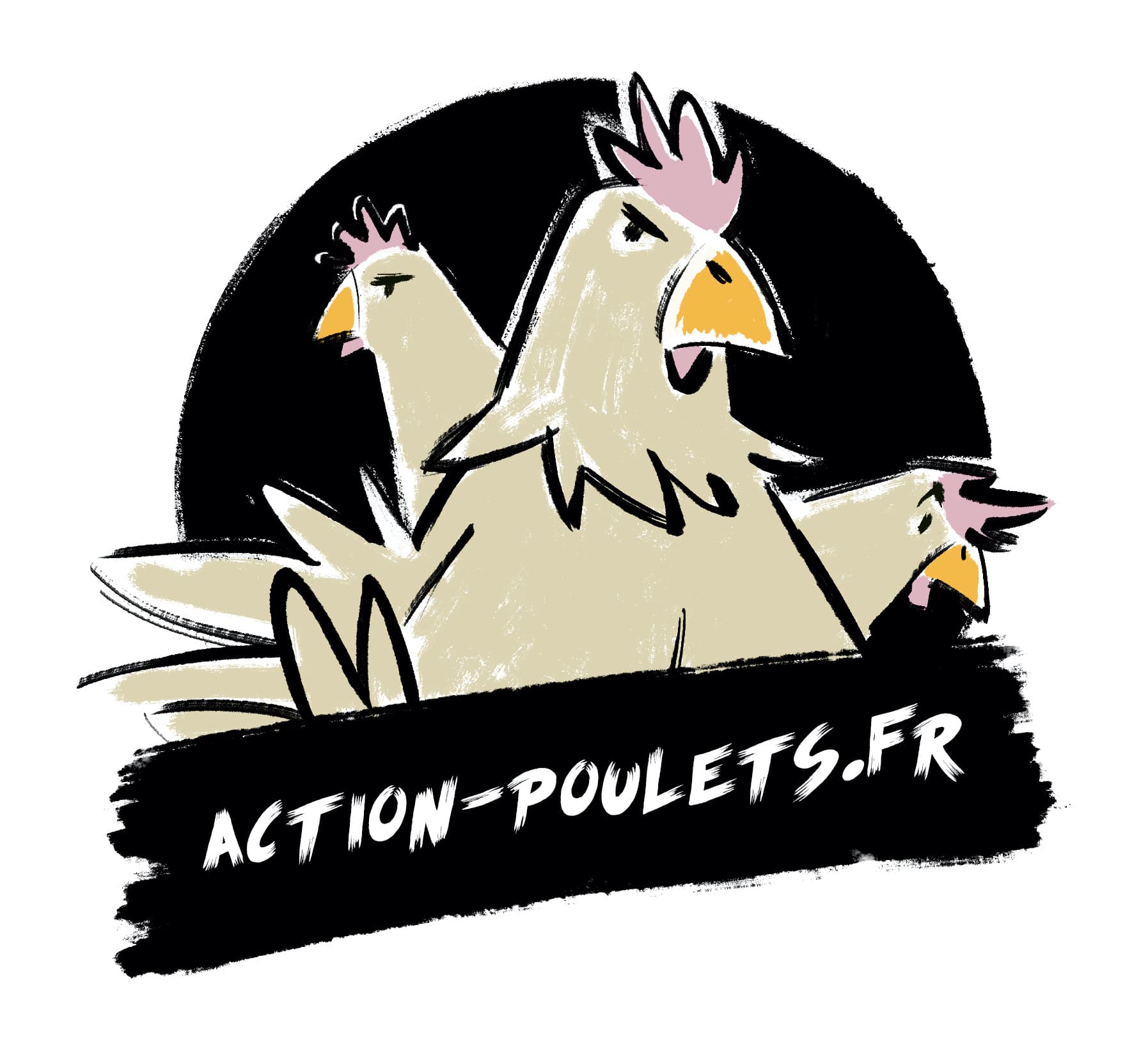 action-poulets.fr